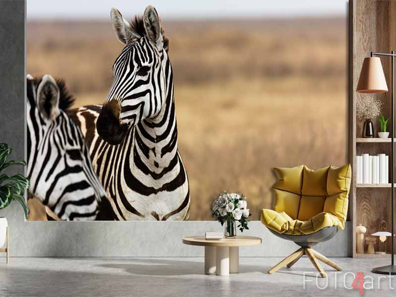 Fotobehang profiel van een zebra op grasvlakte