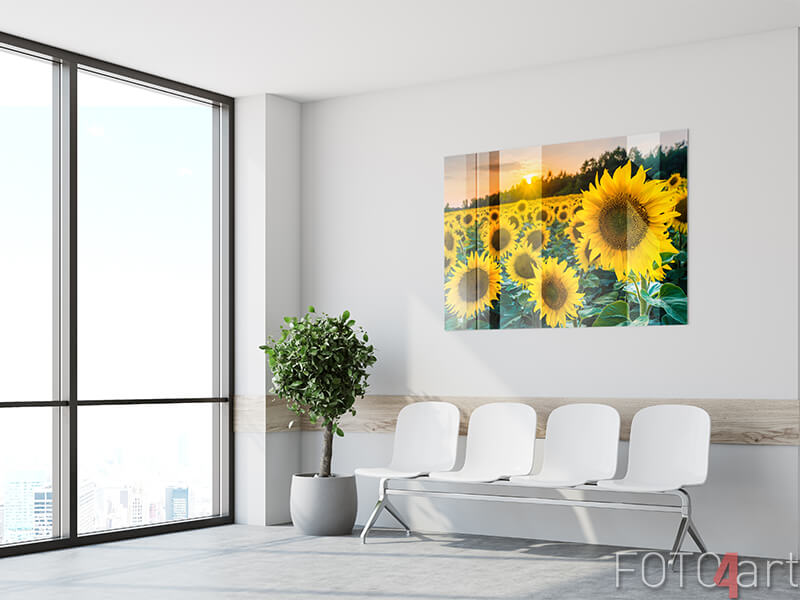 foto op plexiglas zonnebloemen
